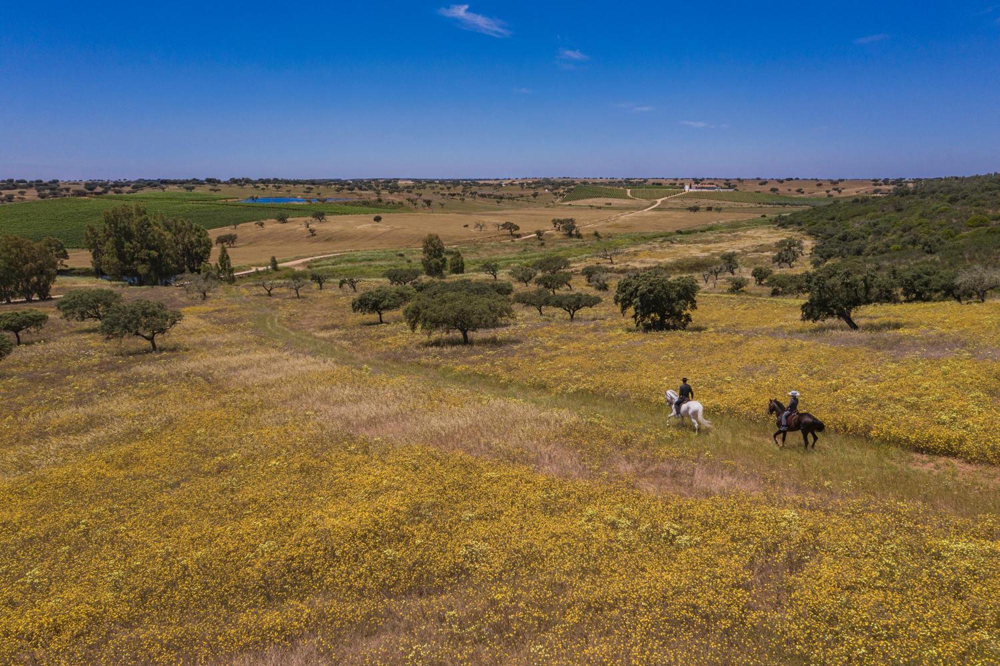 Herdade da Malhadinha Nova - Relais&Châteaux Hotel Albernoa Exterior foto